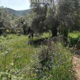  A plot of land with a total area of â€‹â€‹1,200 sq.m. is for sale. in Lefkada and specifically in the area of â€‹â€‹Poros, Mikros Gialos, within the plan and buildable with the possibility of building around 400 sq.m.At a distance of 1 Ellomeno 8172251 thumb1