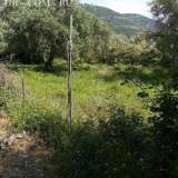  A plot of land with a total area of â€‹â€‹1,200 sq.m. is for sale. in Lefkada and specifically in the area of â€‹â€‹Poros, Mikros Gialos, within the plan and buildable with the possibility of building around 400 sq.m.At a distance of 1 Ellomeno 8172251 thumb3