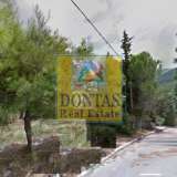  (For Sale) Land Plot || East Attica/Dionysos - 820 Sq.m, 220.000€ Dionysos 8072258 thumb3