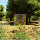  (For Sale) Land Plot || Athens North/Melissia - 1.570 Sq.m, 800.000€ Athens 8072261 thumb7