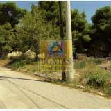 (For Sale) Land Plot || Athens North/Melissia - 1.570 Sq.m, 800.000€ Athens 8072261 thumb6
