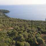  For Sale - (€ 0 / m2), Agricultural 5826 m2 Lefkada 7572321 thumb0