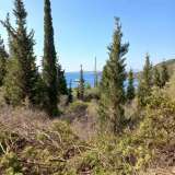  For Sale - (€ 0 / m2), Agricultural 5350 m2 Lefkada 7572322 thumb3