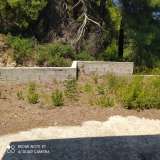  (For Sale) Residential Detached house || Magnisia/Sporades-Skopelos - 65 Sq.m, 140.000€ Skopelos 7172512 thumb3