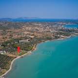  For Sale - (€ 0 / m2), Agricultural 5191 m2 Kranidi 7872638 thumb3