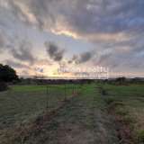  For Sale - (€ 0 / m2), Agricultural 25953 m2 Zakynthos 8072670 thumb5