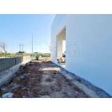   Tavira (East Algarve) 8072070 thumb35