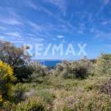  For Sale - (€ 0 / m2), Agricultural 4050 m2 Skiathos 7472899 thumb6