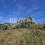  For Sale - (€ 0 / m2), Agricultural 4050 m2 Skiathos 7472899 thumb3