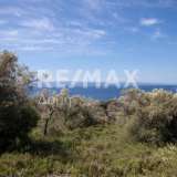  For Sale - (€ 0 / m2), Agricultural 4050 m2 Skiathos 7472899 thumb0
