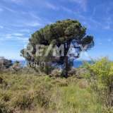  For Sale - (€ 0 / m2), Agricultural 4050 m2 Skiathos 7472899 thumb1