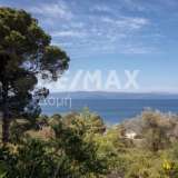  For Sale - (€ 0 / m2), Agricultural 4050 m2 Skiathos 7472899 thumb5