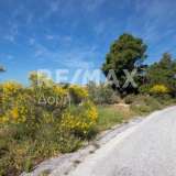 For Sale - (€ 0 / m2), Agricultural 4050 m2 Skiathos 7472899 thumb7
