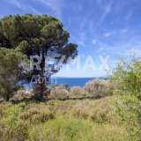  For Sale - (€ 0 / m2), Agricultural 4050 m2 Skiathos 7472899 thumb2