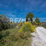  For Sale - (€ 0 / m2), Agricultural 4050 m2 Skiathos 7472899 thumb8