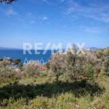  For Sale - (€ 0 / m2), Agricultural 4050 m2 Skiathos 7472899 thumb4