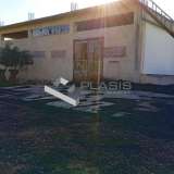  (For Sale) Commercial Commercial Property ||  West Attica/Magoula - 500 Sq.m, 280.000€ Magoula 7873110 thumb0