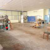  Large industrial premises in Rousse Ruse city 5973270 thumb0
