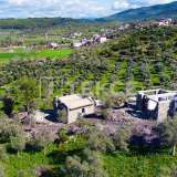  Einstöckige Steinhäuser in grüner Umgebung in Mugla Milas Milas 8073394 thumb26