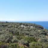  For Sale - (€ 0 / m2), Agricultural 4000 m2 Lefkada 8173632 thumb5