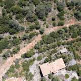  For Sale - (€ 0 / m2), Agricultural 4000 m2 Lefkada 8173632 thumb2