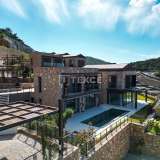 Detached Villas with Sea and Forest Views in Bodrum Bodrum 8073636 thumb2