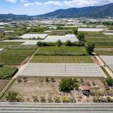  For Sale - (€ 0 / m2), Agricultural 2700 m2 Eleftheres 8173665 thumb6