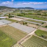  For Sale - (€ 0 / m2), Agricultural 2700 m2 Eleftheres 8173665 thumb3
