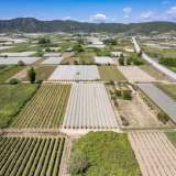  For Sale - (€ 0 / m2), Agricultural 2700 m2 Eleftheres 8173665 thumb8