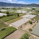  For Sale - (€ 0 / m2), Agricultural 2700 m2 Eleftheres 8173665 thumb7