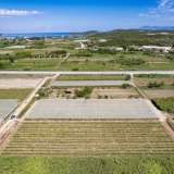  For Sale - (€ 0 / m2), Agricultural 2700 m2 Eleftheres 8173665 thumb0