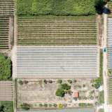  Verkauf - (€ 0 / m2), Agricultural 2700 m2 Eleitheres 8173665 thumb4