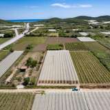  For Sale - (€ 0 / m2), Agricultural 2700 m2 Eleftheres 8173665 thumb9