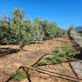  For Sale - (€ 0 / m2), Agricultural 6176 m2 Kavala 8173668 thumb5