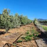  For Sale - (€ 0 / m2), Agricultural 6176 m2 Kavala 8173668 thumb0