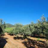  For Sale - (€ 0 / m2), Agricultural 6176 m2 Kavala 8173668 thumb2