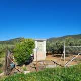  For Sale - (€ 0 / m2), Agricultural 6176 m2 Kavala 8173668 thumb4