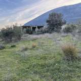  (For Sale) Land Plot || East Attica/Paiania - 362 Sq.m, 80.000€ Athens 6973779 thumb0