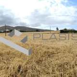  (For Sale) Land Agricultural Land  || Cyclades/Paros - 8.200 Sq.m, 600.000€ Paros 8173831 thumb13