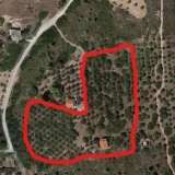  (For Sale) Land || East Attica/ Oropos - 16.500 Sq.m, 290.000€ Oropos 8173885 thumb4