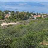  (For Sale) Land || East Attica/ Oropos - 16.500 Sq.m, 290.000€ Oropos 8173885 thumb3