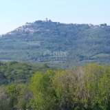  ISTRIA, MOTOVUN, SURROUNDINGS - A complex of construction and agricultural land in a secluded area with a view of Motovun Motovun 8173967 thumb1