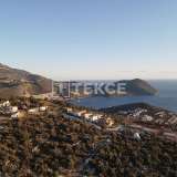  Strefowa przyroda i tereny z widokiem na morze w Kaş Kalkan Kas 8074124 thumb8