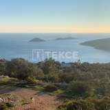  Strefowa przyroda i tereny z widokiem na morze w Kaş Kalkan Kas 8074124 thumb6