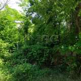  Property with 1400 sq.m. garden near Veliko Tarnovo Orlovets village 5974258 thumb19
