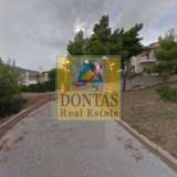  (For Sale) Land Plot || East Attica/Dionysos - 825 Sq.m, 240.000€ Dionysos 7774405 thumb4