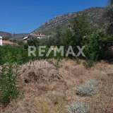  For Sale - (€ 0 / m2), Plot 300 m2 Agria 7874527 thumb2