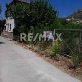  For Sale - (€ 0 / m2), Plot 300 m2 Agria 7874527 thumb9
