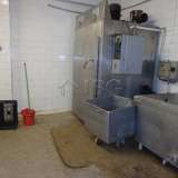  For sale a Slaughterhouse, Meat processing factory and a big plot of land in Rousse city Ruse city 5974543 thumb15