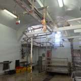  Бойня, мясорубка и мясоперерабатывающая фабрика в Русе Русе 5974543 thumb3
